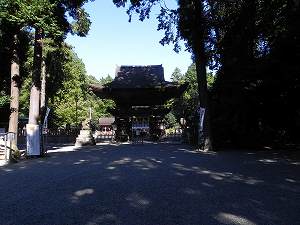 20101104mikami (2).jpg